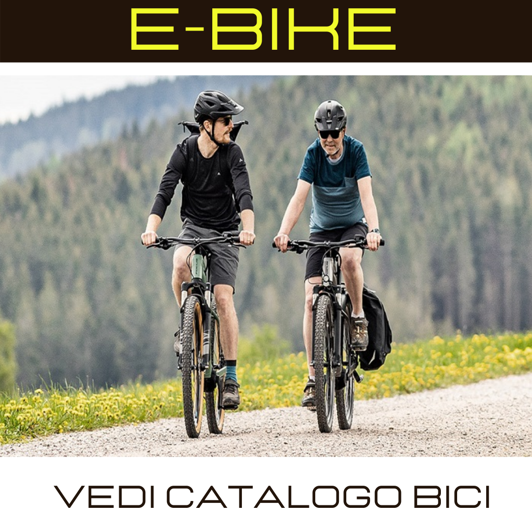 Mangone Bike Rivoli vendita e noleggio MTB pedalata assistita