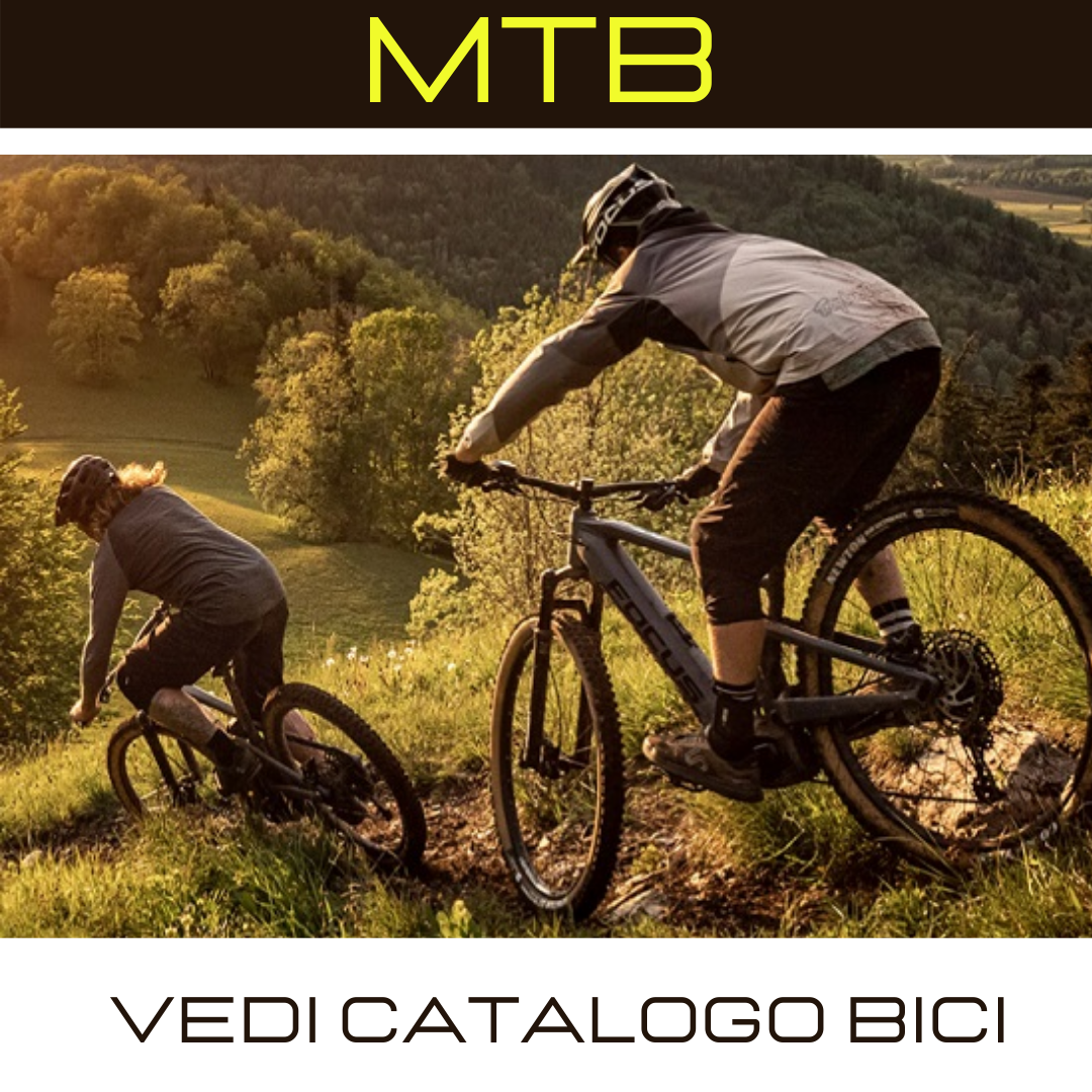 Mangone Bike Rivoli vendita e noleggio MTB